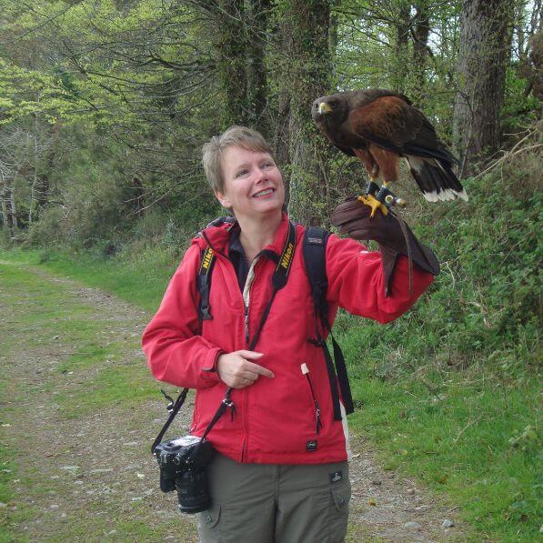 Petra Bal 4 Ever Webdesign Petra Bal 4 Ever Webdesign