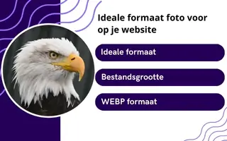 Het beste formaat foto’s voor op je website