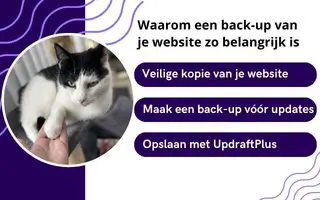 Waarom een back-up van je website zo belangrijk is